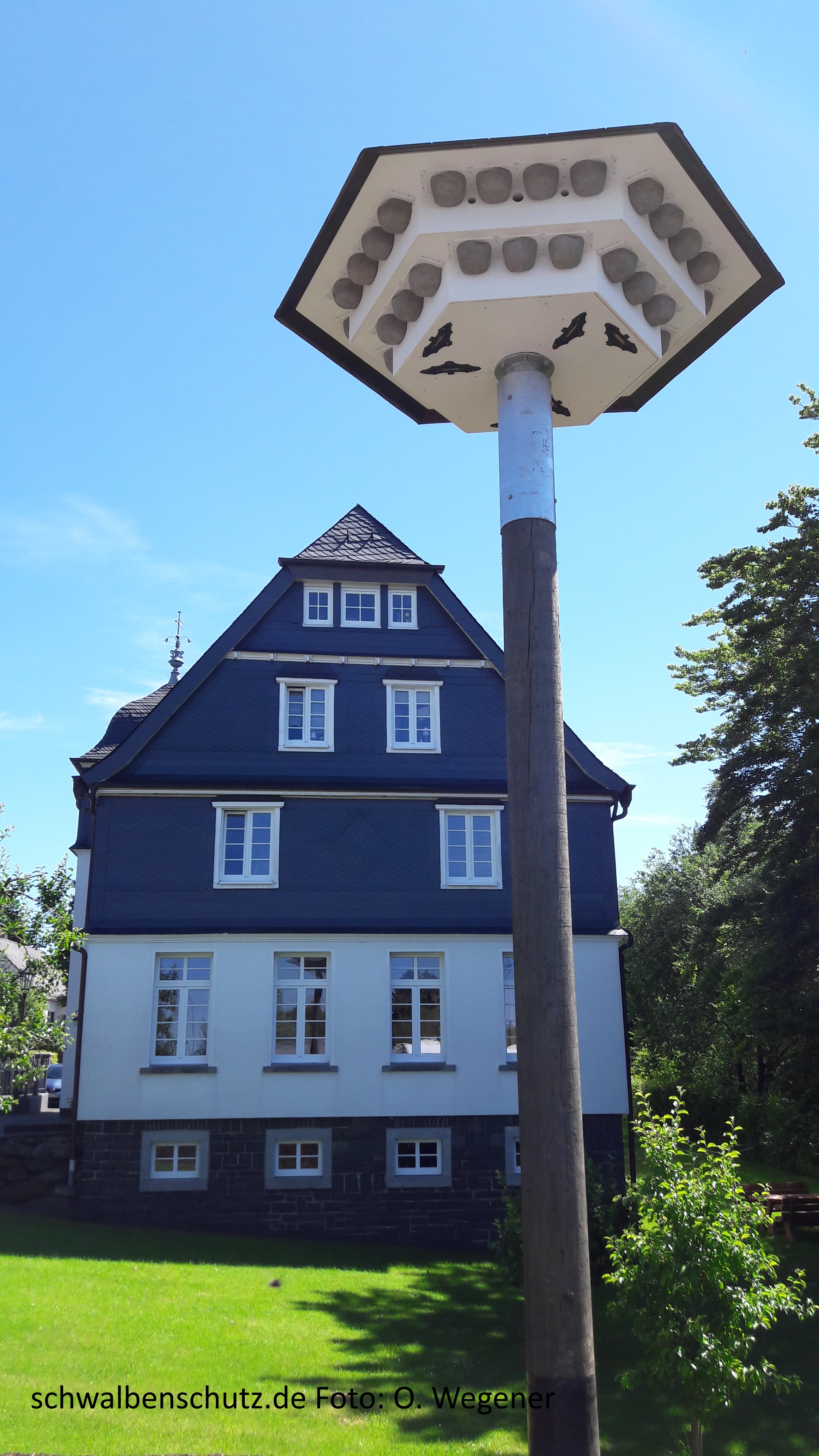 Schwalbenhaus Artenschutzhaus Langenbach