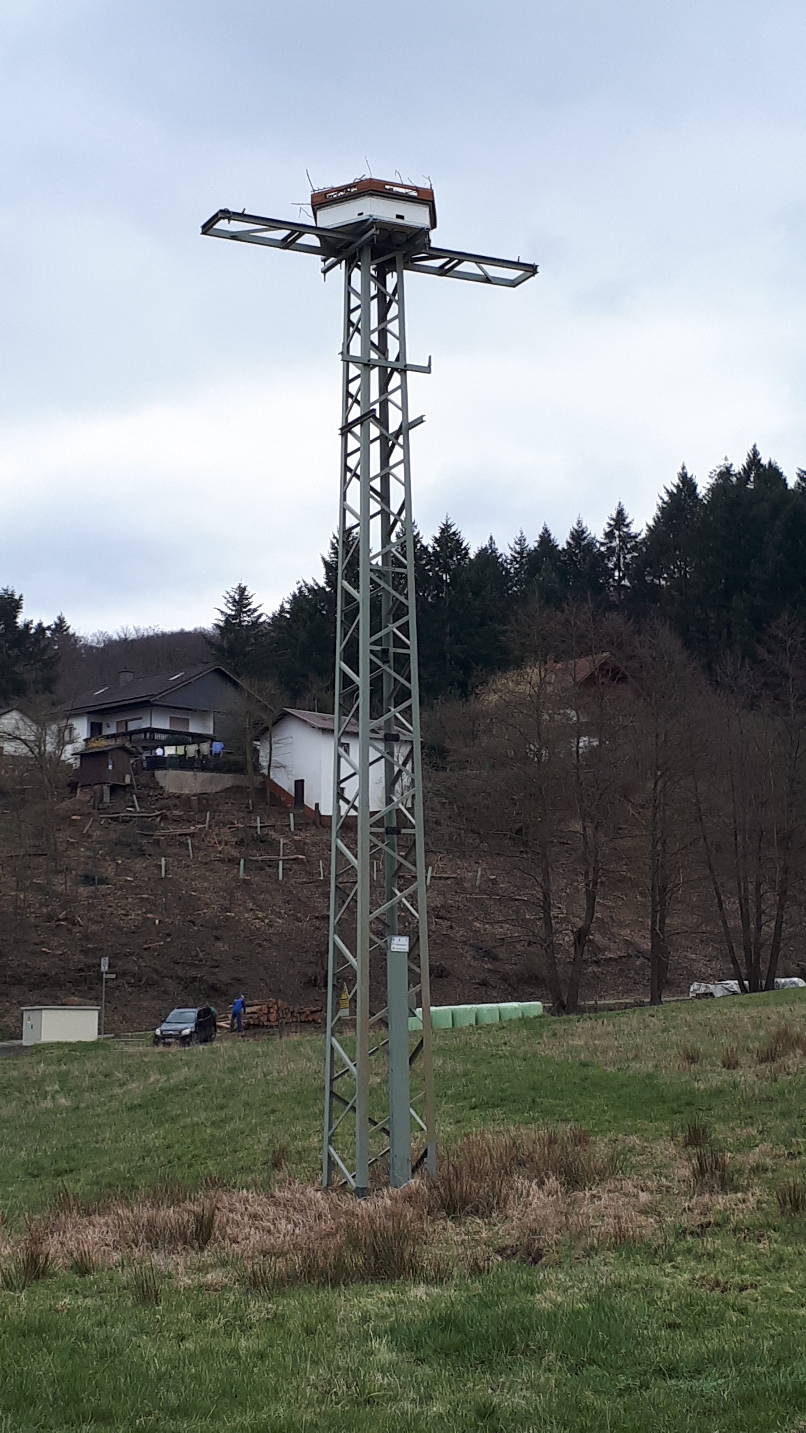 Storchenplattform Ehringshausen