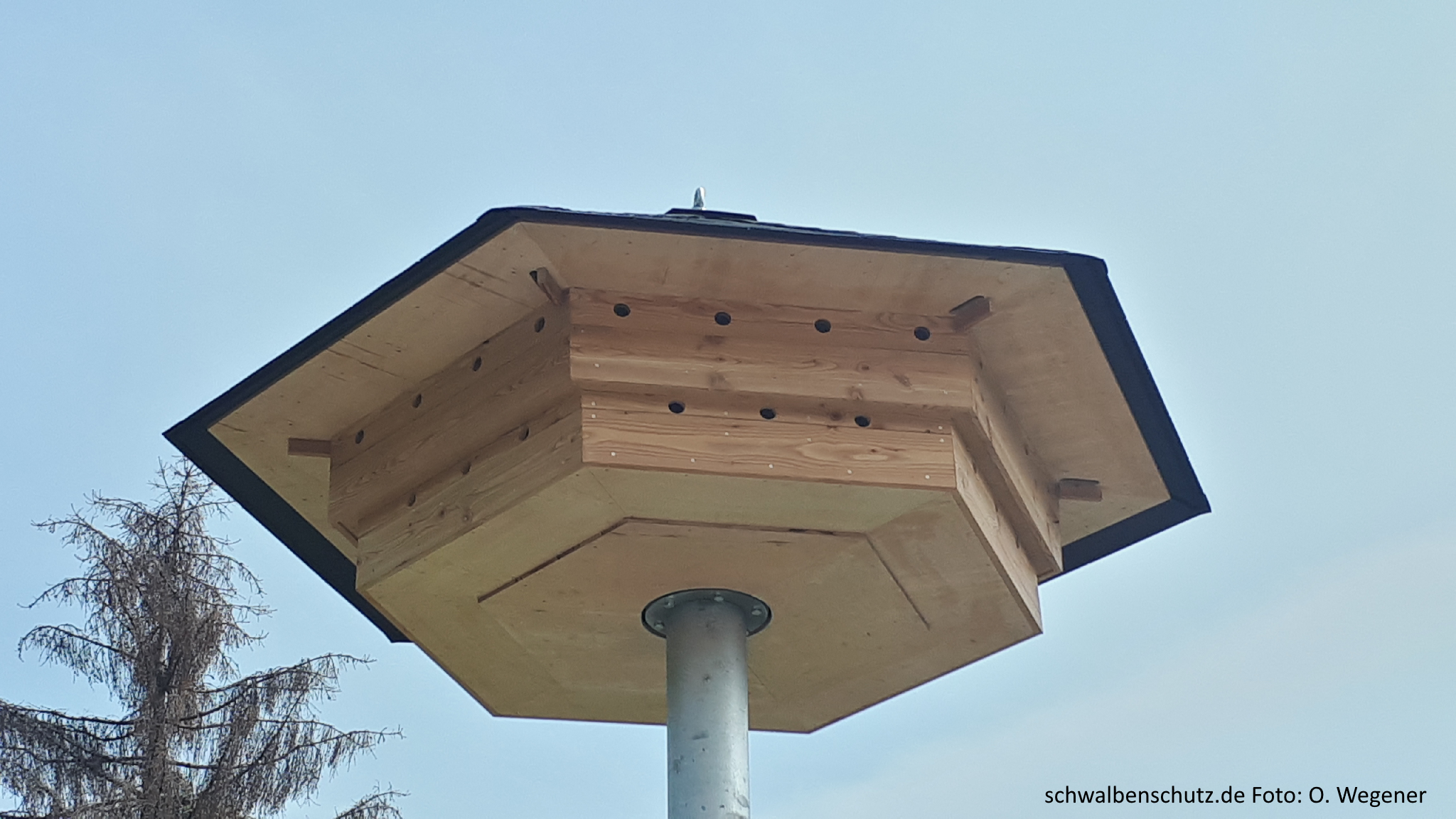 Schwalbenhaus Artenschutzhaus